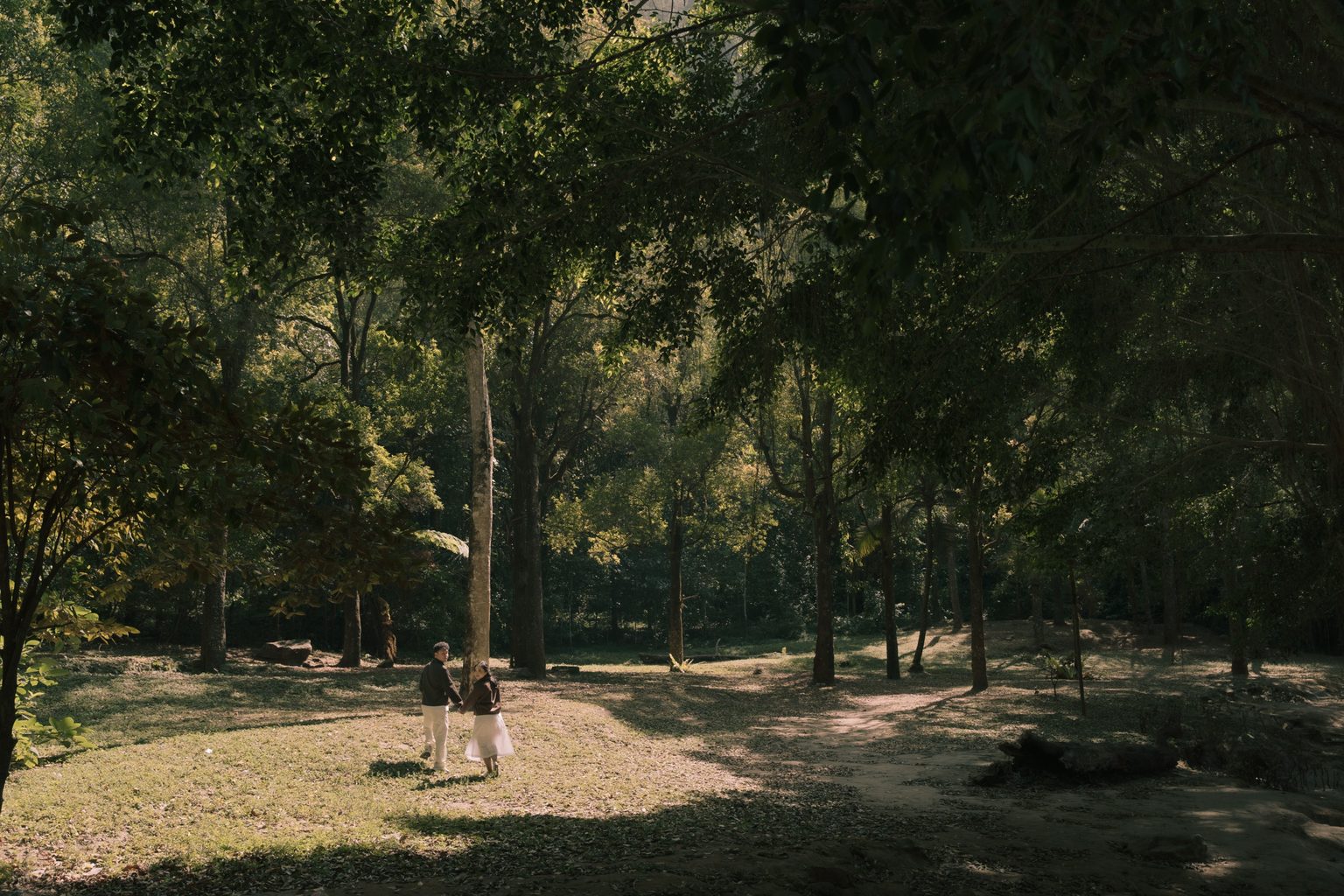Brian and Sasa walking hand in hand through a sunlit forest, looking back